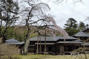 Tokyo: Tour privato di un giorno di Nikko, Patrimonio dell'Umanità dell'Unesco, e prelievo di campioni