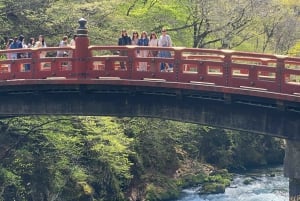 Tokyo: Tour privato di un giorno di Nikko, Patrimonio dell'Umanità dell'Unesco, e prelievo di campioni