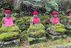 Tokyo: Tour privato di un giorno di Nikko, Patrimonio dell'Umanità dell'Unesco, e prelievo di campioni