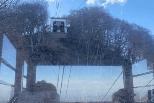 Tokyo: Tour privato di un giorno di Nikko, Patrimonio dell'Umanità dell'Unesco, e prelievo di campioni