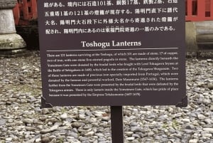 Tokyo: Tour privato di un giorno di Nikko, Patrimonio dell'Umanità dell'Unesco, e prelievo di campioni