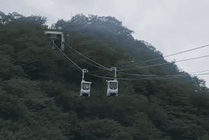 Tokyo: Tour privato di un giorno di Nikko, Patrimonio dell'Umanità dell'Unesco, e prelievo di campioni