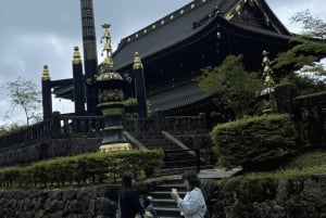 Tokyo: Tour privato di un giorno di Nikko, Patrimonio dell'Umanità dell'Unesco, e prelievo di campioni