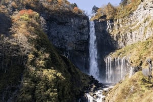 Tokyo: Tour privato di un giorno di Nikko, Patrimonio dell'Umanità dell'Unesco, e prelievo di campioni