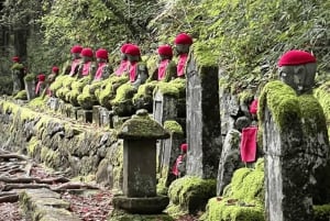 Tokyo: Tour privato di un giorno di Nikko, Patrimonio dell'Umanità dell'Unesco, e prelievo di campioni