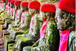 Tokyo: Tour privato di un giorno di Nikko, Patrimonio dell'Umanità dell'Unesco, e prelievo di campioni