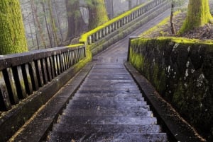 Tokyo: Tour privato di un giorno di Nikko, Patrimonio dell'Umanità dell'Unesco, e prelievo di campioni