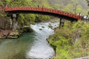 Tokyo: Tour privato di un giorno di Nikko, Patrimonio dell'Umanità dell'Unesco, e prelievo di campioni