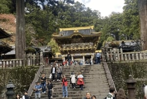 Tokyo: Tour privato di un giorno di Nikko, Patrimonio dell'Umanità dell'Unesco, e prelievo di campioni