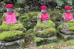 Tokyo: Tour privato di un giorno di Nikko, Patrimonio dell'Umanità dell'Unesco, e prelievo di campioni
