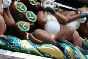 Tokio → Nikko: yksityinen räätälöitävä päiväkierros (englanninkielinen kuljettaja)