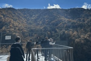 Tokio → Nikko: yksityinen räätälöitävä päiväkierros (englanninkielinen kuljettaja)