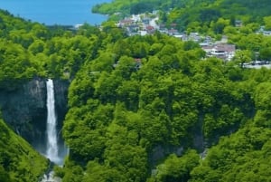 Tokio → Nikko: yksityinen räätälöitävä päiväkierros (englanninkielinen kuljettaja)