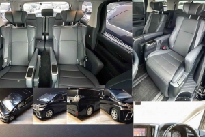 Tokio → Nikko: yksityinen räätälöitävä päiväkierros (englanninkielinen kuljettaja)