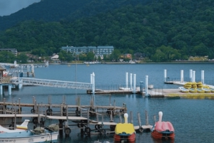 Tokio → Nikko: yksityinen räätälöitävä päiväkierros (englanninkielinen kuljettaja)