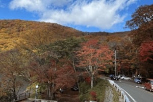Tokio → Nikko: yksityinen räätälöitävä päiväkierros (englanninkielinen kuljettaja)