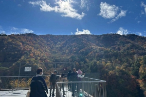 Tokio → Nikko: yksityinen räätälöitävä päiväkierros (englanninkielinen kuljettaja)