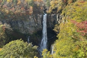 Tokio → Nikko: yksityinen räätälöitävä päiväkierros (englanninkielinen kuljettaja)