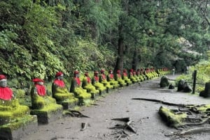 Tokio → Nikko: yksityinen räätälöitävä päiväkierros (englanninkielinen kuljettaja)