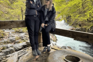 Tokio → Nikko: yksityinen räätälöitävä päiväkierros (englanninkielinen kuljettaja)