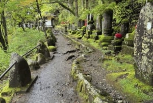 Tokio → Nikko: yksityinen räätälöitävä päiväkierros (englanninkielinen kuljettaja)