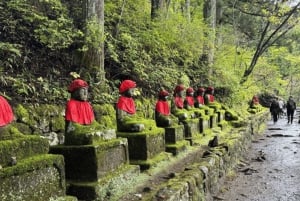 Tokio → Nikko: yksityinen räätälöitävä päiväkierros (englanninkielinen kuljettaja)