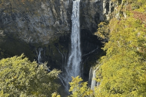 Tokio → Nikko: yksityinen räätälöitävä päiväkierros (englanninkielinen kuljettaja)