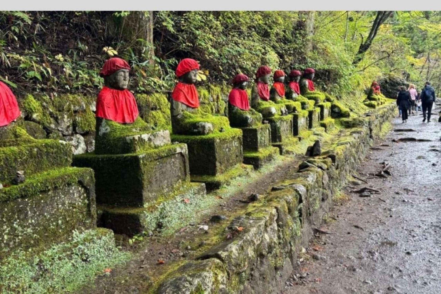 Tokio: Excursión de un día privada al Patrimonio Mundial de Nikko Servicio de recogida del hotel