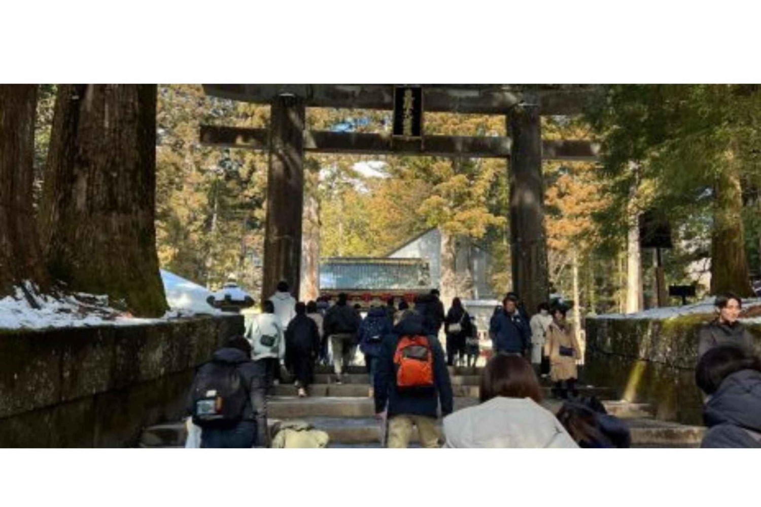 Tokio: Excursión de un día privada al Patrimonio Mundial de Nikko Servicio de recogida del hotel