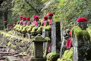 東京日光世界遺産 日帰りプライベートツアー ホテルお迎え