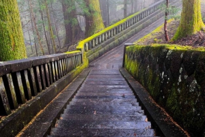 東京日光世界遺産 日帰りプライベートツアー ホテルお迎え