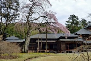 東京日光世界遺産 日帰りプライベートツアー ホテルお迎え