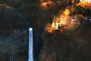 東京日光世界遺産 日帰りプライベートツアー ホテルお迎え