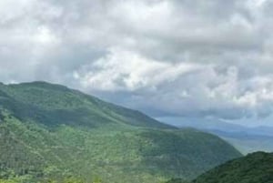 東京日光世界遺産 日帰りプライベートツアー ホテルお迎え