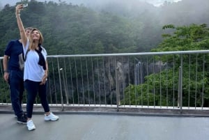 東京日光世界遺産 日帰りプライベートツアー ホテルお迎え