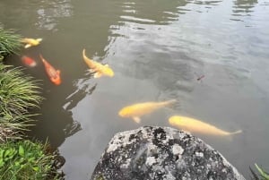 東京日光世界遺産 日帰りプライベートツアー ホテルお迎え