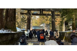 Tokio: Excursión de un día privada al Patrimonio Mundial de Nikko Servicio de recogida del hotel