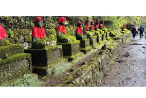 Tokio: Excursión de un día privada al Patrimonio Mundial de Nikko Servicio de recogida del hotel