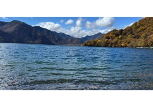 Tokio: Excursión de un día privada al Patrimonio Mundial de Nikko Servicio de recogida del hotel