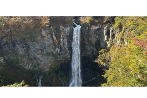 Tokio: Excursión de un día privada al Patrimonio Mundial de Nikko Servicio de recogida del hotel