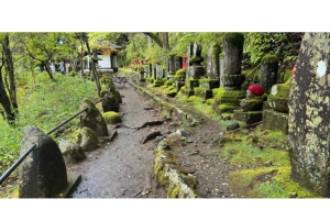 Tokio: Excursión de un día privada al Patrimonio Mundial de Nikko Servicio de recogida del hotel