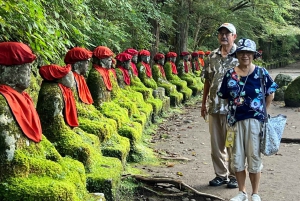 Tokio: Excursión de un día privada al Patrimonio Mundial de Nikko Servicio de recogida del hotel