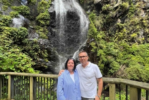 Tokio: Excursión de un día privada al Patrimonio Mundial de Nikko Servicio de recogida del hotel