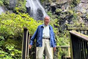 Tokio: Excursión de un día privada al Patrimonio Mundial de Nikko Servicio de recogida del hotel