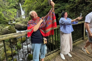 Tokio: Excursión de un día privada al Patrimonio Mundial de Nikko Servicio de recogida del hotel