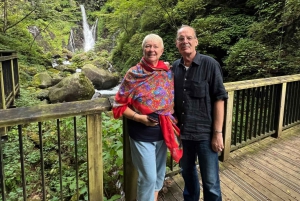 Tokio: Excursión de un día privada al Patrimonio Mundial de Nikko Servicio de recogida del hotel