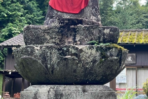 Tokio: Excursión de un día privada al Patrimonio Mundial de Nikko Servicio de recogida del hotel