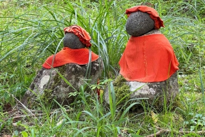 Tokio: Excursión de un día privada al Patrimonio Mundial de Nikko Servicio de recogida del hotel