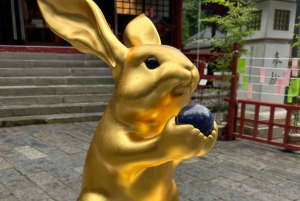 Tokio: Excursión de un día privada al Patrimonio Mundial de Nikko Servicio de recogida del hotel