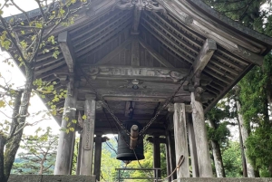 Tokio: Excursión de un día privada al Patrimonio Mundial de Nikko Servicio de recogida del hotel